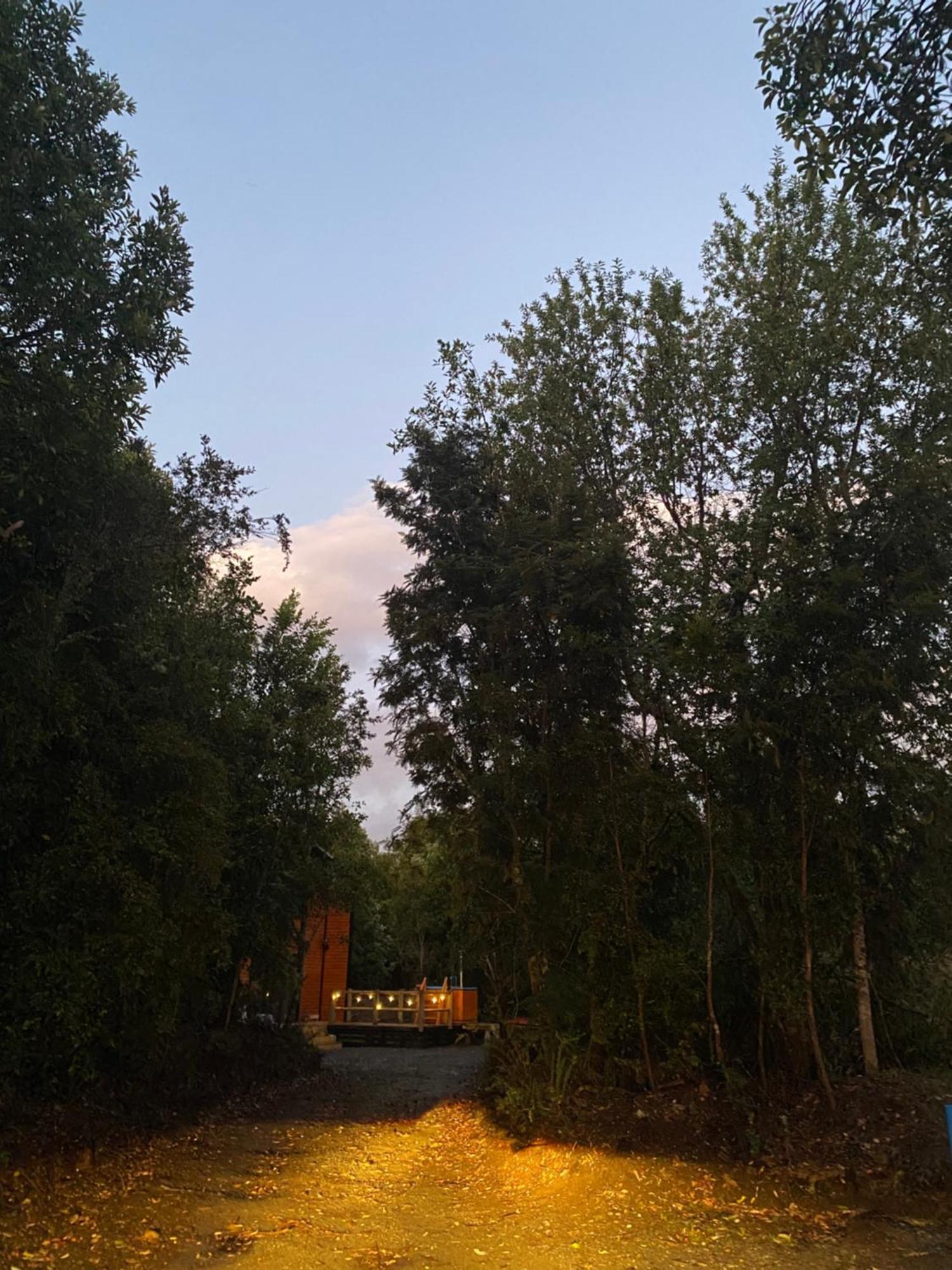 Del Bosque Trapen Puerto Montt